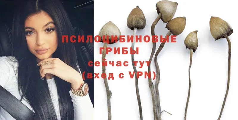 omg ТОР  Егорьевск  Галлюциногенные грибы Psilocybe  даркнет сайт 